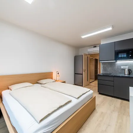 Apartment Parkova Ctvrt